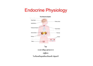 Endocrine Physiology

โดย
นางสาวพัชฎา บุตรยะถาวร
ครู ผ้สอน
ู
โรงเรียนเตรีมอุดมศึกษาน้ อมเกล้ า ปทุมธานี

 