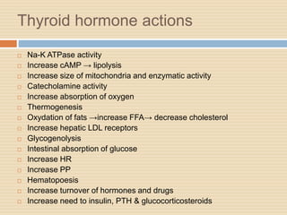 Thyroid hormone actions
 Na-K ATPase activity
 Increase cAMP → lipolysis
 Increase size of mitochondria and enzymatic activity
 Catecholamine activity
 Increase absorption of oxygen
 Thermogenesis
 Oxydation of fats →increase FFA→ decrease cholesterol
 Increase hepatic LDL receptors
 Glycogenolysis
 Intestinal absorption of glucose
 Increase HR
 Increase PP
 Hematopoesis
 Increase turnover of hormones and drugs
 Increase need to insulin, PTH & glucocorticosteroids
 