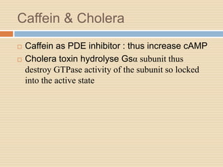 Caffein & Cholera
 Caffein as PDE inhibitor : thus increase cAMP
 Cholera toxin hydrolyse Gsα subunit thus
destroy GTPase activity of the subunit so locked
into the active state
 