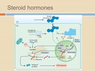 Steroid hormones
 