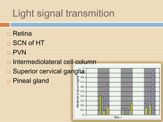 Light signal transmition
 Retina
 SCN of HT
 PVN
 Intermediolateral cell column
 Superior cervical ganglia
 Pineal gland
 