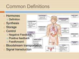 Common Definitions
 Hormones
 Definition
 Synthesis
 Storage
 Control
 Negative Feedback
 Positive feedback
 Feedforward
 Bloodstream transportation
 Signal transduction
 