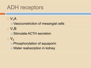 ADH receptors
 V1A
 Vasoconstriction of mesangial cells
 V1B
 Stimulate ACTH secretion
 V2
 Phosphorylation of aquaporin
 Water reabsorption in kidney
 