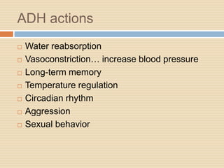 ADH actions
 Water reabsorption
 Vasoconstriction… increase blood pressure
 Long-term memory
 Temperature regulation
 Circadian rhythm
 Aggression
 Sexual behavior
 