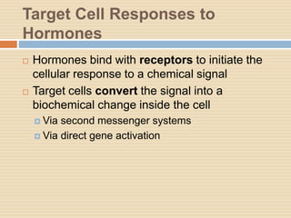 Target Cell Responses to
Hormones
 Hormones bind with receptors to initiate the
cellular response to a chemical signal
 Target cells convert the signal into a
biochemical change inside the cell
 Via second messenger systems
 Via direct gene activation
 