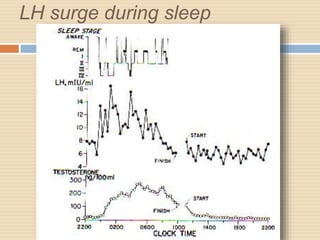 LH surge during sleep
 