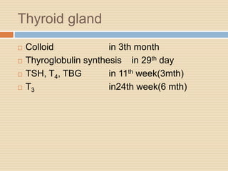 Thyroid gland
 Colloid in 3th month
 Thyroglobulin synthesis in 29th day
 TSH, T4, TBG in 11th week(3mth)
 T3 in24th week(6 mth)
 
