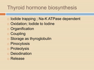 Thyroid hormone biosynthesis
 Iodide trapping ; Na-K ATPase dependent
 Oxidation; Iodide to Iodine
 Organification
 Coupling
 Storage as thyroglobulin
 Pinocytosis
 Proteolysis
 Deiodination
 Release
 