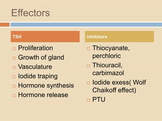 Effectors
 Proliferation
 Growth of gland
 Vasculature
 Iodide traping
 Hormone synthesis
 Hormone release
 Thiocyanate,
perchloric
 Thiouracil,
carbimazol
 Iodide exess( Wolf
Chaikoff effect)
 PTU
TSH inhibitors
 