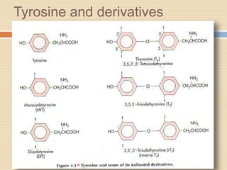 Tyrosine and derivatives
 