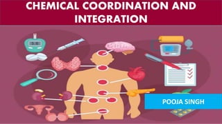CHEMICAL COORDINATION AND
INTEGRATION
POOJA SINGH
 
