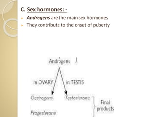 C. Sex hormones: -
 Androgens are the main sex hormones
 They contribute to the onset of puberty
 