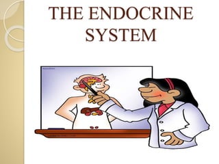 THE ENDOCRINE
SYSTEM
 