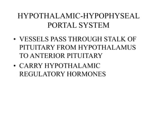 HYPOTHALAMIC-HYPOPHYSEAL
PORTAL SYSTEM
• VESSELS PASS THROUGH STALK OF
PITUITARY FROM HYPOTHALAMUS
TO ANTERIOR PITUITARY
• CARRY HYPOTHALAMIC
REGULATORY HORMONES
 