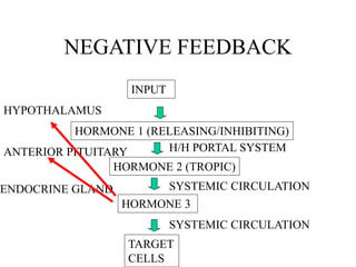 NEGATIVE FEEDBACK
INPUT
HORMONE 1 (RELEASING/INHIBITING)
HORMONE 2 (TROPIC)
HORMONE 3
TARGET
CELLS
SYSTEMIC CIRCULATION
SYSTEMIC CIRCULATION
H/H PORTAL SYSTEM
HYPOTHALAMUS
ANTERIOR PITUITARY
ENDOCRINE GLAND
 