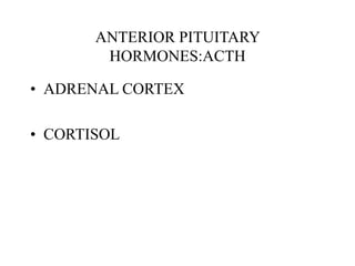 ANTERIOR PITUITARY
HORMONES:ACTH
• ADRENAL CORTEX
• CORTISOL
 