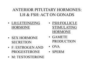 ANTERIOR PITUITARY HORMONES:
LH & FSH: ACT ON GONADS
• LH:LETEINIZING
HORMONE
• SEX HORMONE
SECRETION
• F: ESTROGEN AND
PROGESTERONE
• M: TESTOSTERONE
• FSH:FOLLICLE
STIMULATING
HORMONE
• GAMETE
PRODUCTION
• OVA
• SPERM
 