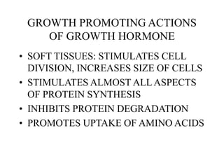 GROWTH PROMOTING ACTIONS
OF GROWTH HORMONE
• SOFT TISSUES: STIMULATES CELL
DIVISION, INCREASES SIZE OF CELLS
• STIMULATES ALMOST ALLASPECTS
OF PROTEIN SYNTHESIS
• INHIBITS PROTEIN DEGRADATION
• PROMOTES UPTAKE OF AMINO ACIDS
 
