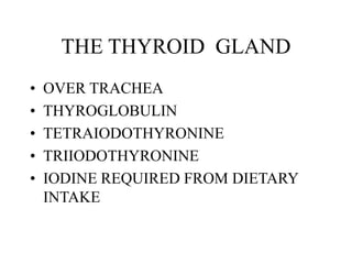 THE THYROID GLAND
• OVER TRACHEA
• THYROGLOBULIN
• TETRAIODOTHYRONINE
• TRIIODOTHYRONINE
• IODINE REQUIRED FROM DIETARY
INTAKE
 