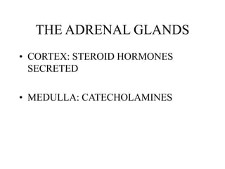 THE ADRENAL GLANDS
• CORTEX: STEROID HORMONES
SECRETED
• MEDULLA: CATECHOLAMINES
 