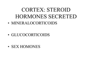 CORTEX: STEROID
HORMONES SECRETED
• MINERALOCORTICOIDS
• GLUCOCORTICOIDS
• SEX HOMONES
 
