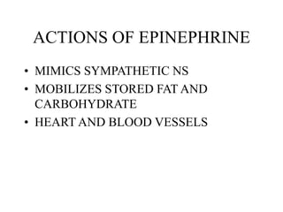 ACTIONS OF EPINEPHRINE
• MIMICS SYMPATHETIC NS
• MOBILIZES STORED FAT AND
CARBOHYDRATE
• HEART AND BLOOD VESSELS
 