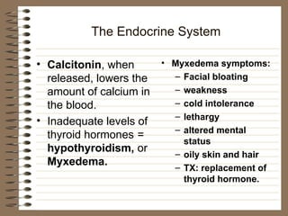 The Endocrine System
• Calcitonin, when
released, lowers the
amount of calcium in
the blood.
• Inadequate levels of
thyroid hormones =
hypothyroidism, or
Myxedema.
• Myxedema symptoms:
– Facial bloating
– weakness
– cold intolerance
– lethargy
– altered mental
status
– oily skin and hair
– TX: replacement of
thyroid hormone.
 
