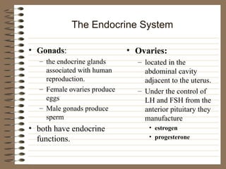 The Endocrine System
• Gonads:
– the endocrine glands
associated with human
reproduction.
– Female ovaries produce
eggs
– Male gonads produce
sperm
• both have endocrine
functions.
• Ovaries:
– located in the
abdominal cavity
adjacent to the uterus.
– Under the control of
LH and FSH from the
anterior pituitary they
manufacture
• estrogen
• progesterone
 