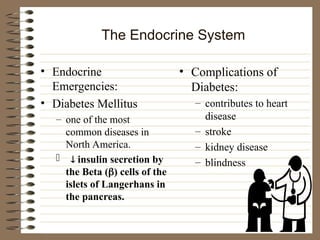 The Endocrine System
• Endocrine
Emergencies:
• Diabetes Mellitus
– one of the most
common diseases in
North America.
  insulin secretion by
the Beta () cells of the
islets of Langerhans in
the pancreas.
• Complications of
Diabetes:
– contributes to heart
disease
– stroke
– kidney disease
– blindness
 