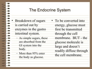 The Endocrine System
• Breakdown of sugars
is carried out by
enzymes in the gastro
intestinal system.
– As simple sugars, these
are absorbed from the
GI system into the
body.
– More than 95% enter
the body as glucose.
• To be converted into
energy, glucose must
first be transmitted
through the cell
membrane. BUT - the
glucose molecule is
large and doesn’t
readily diffuse through
the cell membrane.
 