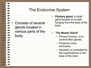 The Endocrine System
• Consists of several
glands located in
various parts of the
body.
• Pituitary gland: a small
gland located on a stalk
hanging from the base of the
brain
• “The Master Gland”
– Primary function is to
control other glands.
– Produces many
hormones.
– Secretion is controlled by
the hypothalamus in the
base of the brain.
 