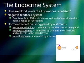 endocrine system endocrine overvieww.ppt