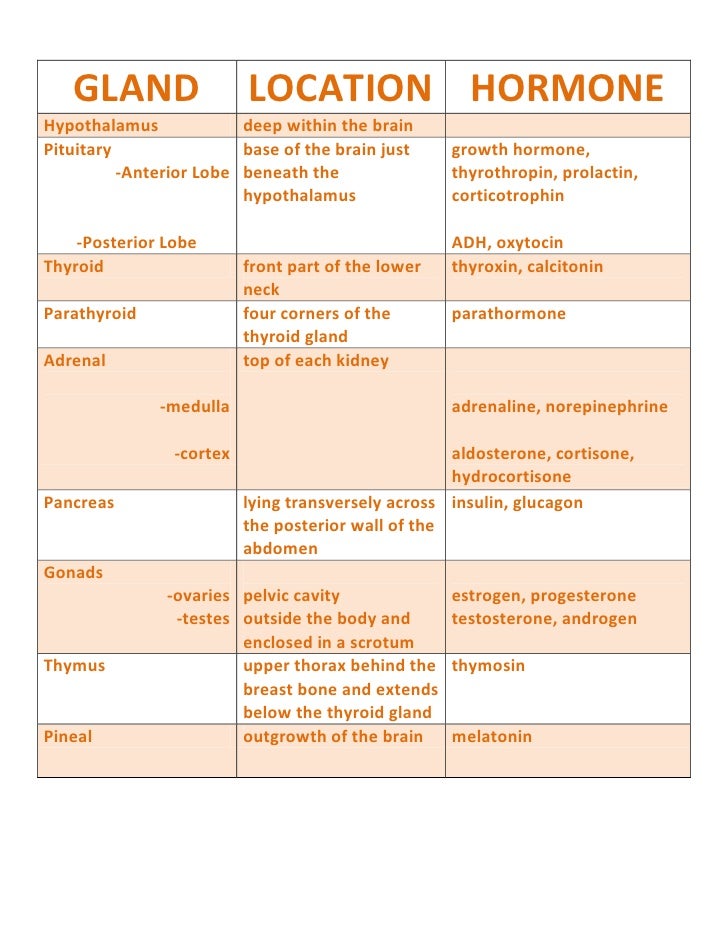 Endocrine Hormones Chart