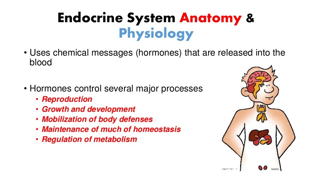endocrine-diseases