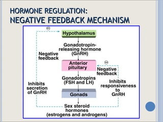 HORMONE REGULATION: NEGATIVE FEEDBACK MECHANISM 