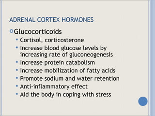 ADRENAL CORTEX HORMONES  Glucocorticoids Cortisol, corticosterone Increase blood glucose levels by increasing rate of gluconeogenesis Increase protein catabolism Increase mobilization of fatty acids Promote sodium and water retention Anti-inflammatory effect Aid the body in coping with stress 