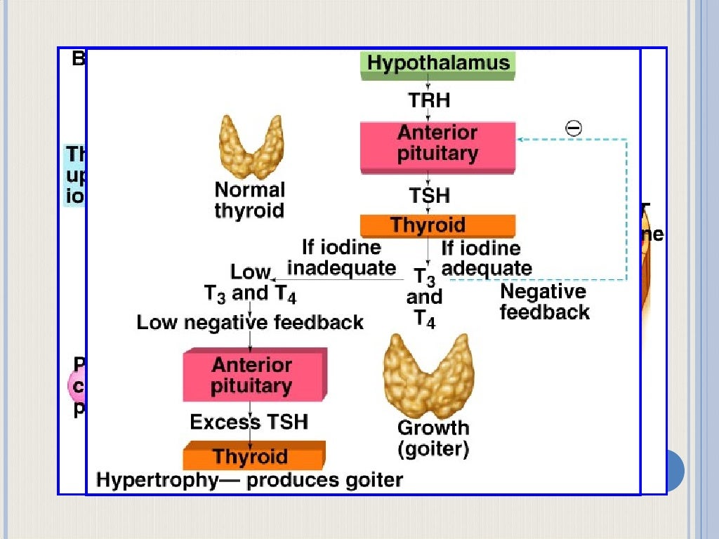 Endocrine Disorders