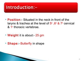  Position:- Situated in the neck in front of the
larynx & trachea at the level of 5th
,6th
& 7th
cervical
& 1st
thoracic vertebrae.
 Weight it is about:- 25 gm
 Shape:- Butterfly in shape
17
 