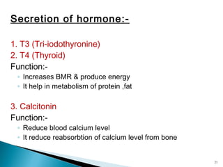 Secretion of hormone:-
1. T3 (Tri-iodothyronine)
2. T4 (Thyroid)
Function:-
◦ Increases BMR & produce energy
◦ It help in metabolism of protein ,fat
3. Calcitonin
Function:-
◦ Reduce blood calcium level
◦ It reduce reabsorbtion of calcium level from bone
21
 