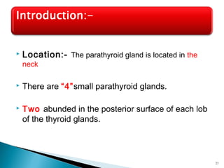  Location:- The parathyroid gland is located in the
neck
 There are “4”small parathyroid glands.
 Two abunded in the posterior surface of each lob
of the thyroid glands.
23
 