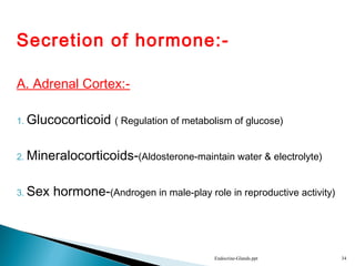 Secretion of hormone:-
A. Adrenal Cortex:-
1. Glucocorticoid ( Regulation of metabolism of glucose)
2. Mineralocorticoids-(Aldosterone-maintain water & electrolyte)
3. Sex hormone-(Androgen in male-play role in reproductive activity)
Endocrine-Glands.ppt 34
 