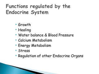  Growth
 Healing
 Water balance & Blood Pressure
 Calcium Metabolism
 Energy Metabolism
 Stress
 Regulation of other Endocrine Organs
 