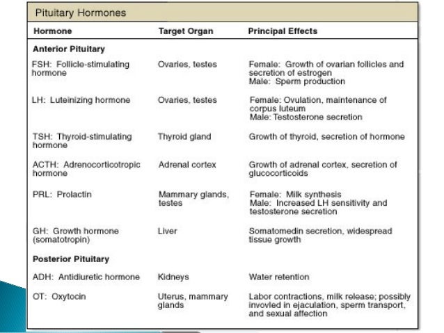 Endocrine glands