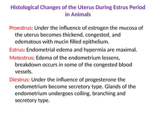 Histological Changes of the Uterus During Estrus Period
in Animals
Proestrus: Under the influence of estrogen the mucosa of
the uterus becomes thickend, congested, and
edematous with mucin filled epithelium.
Estrus: Endometrial edema and hypermia are maximal.
Metestrus: Edema of the endometrium lessens,
breakdown occurs in some of the congested blood
vessels.
Diestrus: Under the influence of progesterone the
endometrium become secretory type. Glands of the
endometrium undergoes coiling, branching and
secretory type.
 