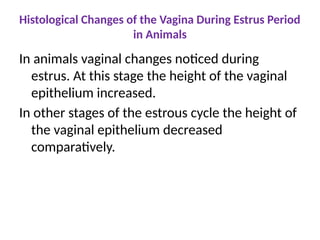 Histological Changes of the Vagina During Estrus Period
in Animals
In animals vaginal changes noticed during
estrus. At this stage the height of the vaginal
epithelium increased.
In other stages of the estrous cycle the height of
the vaginal epithelium decreased
comparatively.
 