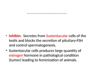 Endocrine Glands and Hormones that are Associated with Male Reproductive System and Their Function.
• Inhibin: Secretes from Sustentacular cells of the
testis and blocks the secretion of pituitary-FSH
and control spermatogenesis.
• Sustentacular cells produces large quantity of
estrogen hormone in pathological condition
(tumor) leading to feminization of animals.
 