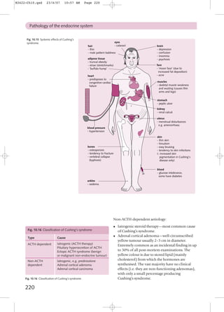 Endocrine Pathology