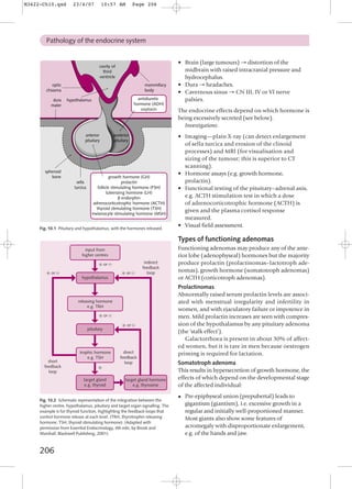 Endocrine Pathology