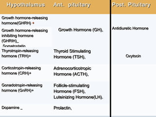 HypothalumusHypothalumus Ant. pituitaryAnt. pituitary Post. PituitaryPost. Pituitary
Growth hormone-releasingGrowth hormone-releasing
hormone(GHRH)hormone(GHRH) ++
Growth Hormone (GH),Growth Hormone (GH), Antidiuretic Hormone Antidiuretic Hormone 
Growth hormone-releasingGrowth hormone-releasing
inhibiting hormoneinhibiting hormone
(GHRIH)_(GHRIH)_
SomatostatinSomatostatin
Thyrotropin-releasingThyrotropin-releasing
hormone (TRH)+hormone (TRH)+
Thyroid StimulatingThyroid Stimulating
Hormone (TSH),Hormone (TSH), OxytocinOxytocin
Corticotropin-releasingCorticotropin-releasing
hormone (CRH)+hormone (CRH)+
AdrenocorticotropicAdrenocorticotropic
Hormone (ACTH),Hormone (ACTH),
Gonadotropin-releasingGonadotropin-releasing
hormone (GnRH)+hormone (GnRH)+
Follicle-stimulatingFollicle-stimulating
Hormone (FSH),Hormone (FSH),
Luteinizing Hormone(LH).Luteinizing Hormone(LH).
Dopamine _Dopamine _ Prolactin,Prolactin,
 