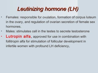 Leutinizing hormone (LH)Leutinizing hormone (LH)
• Females: responsible for ovulation, formation of corpus luteum
in the ovary, and regulation of ovarian secretion of female sex
hormones.
• Males: stimulates cell in the testes to secrete testosterone
• Lutropin alfa, approved for use in combination with
follitropin alfa for stimulation of follicular development in
infertile women with profound LH deficiency..
 